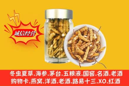 焦作市马村回收散虫草