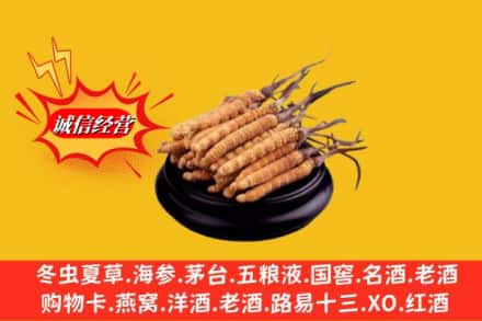 焦作市马村求购回收虫草多少钱每克